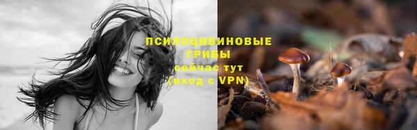 не бодяженный Армянск