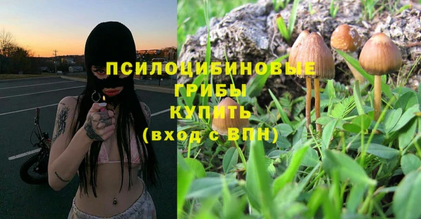 не бодяженный Армянск