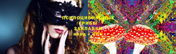 не бодяженный Арсеньев