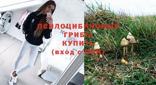 не бодяженный Армянск
