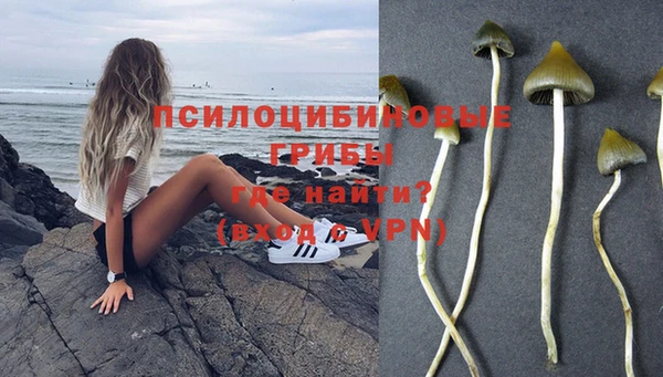 не бодяженный Армянск