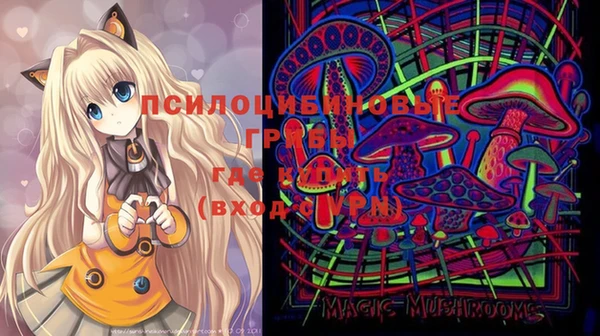 не бодяженный Арсеньев